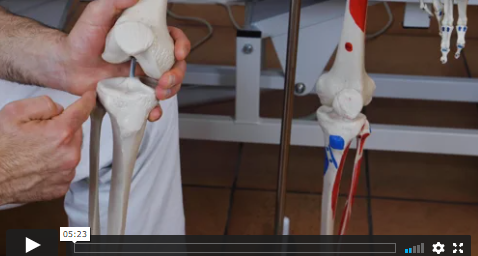 Video 10 - RODILLA